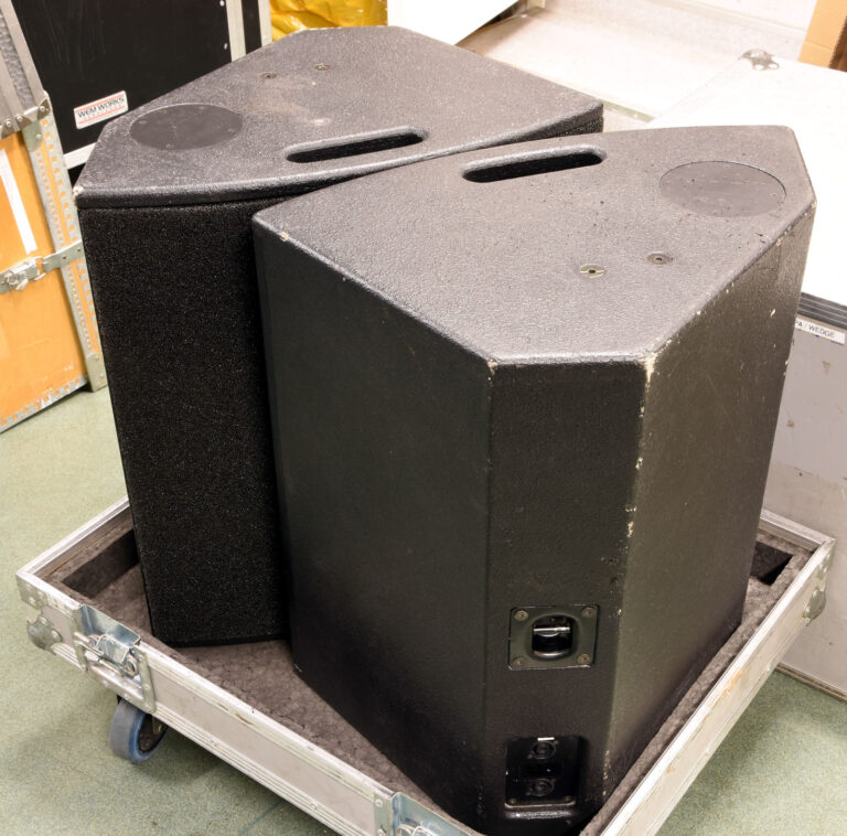 d&b DB MAX Stage Monitor Pair